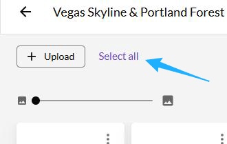 Getty select all button