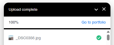 Shutterstock Go to portfolio Button